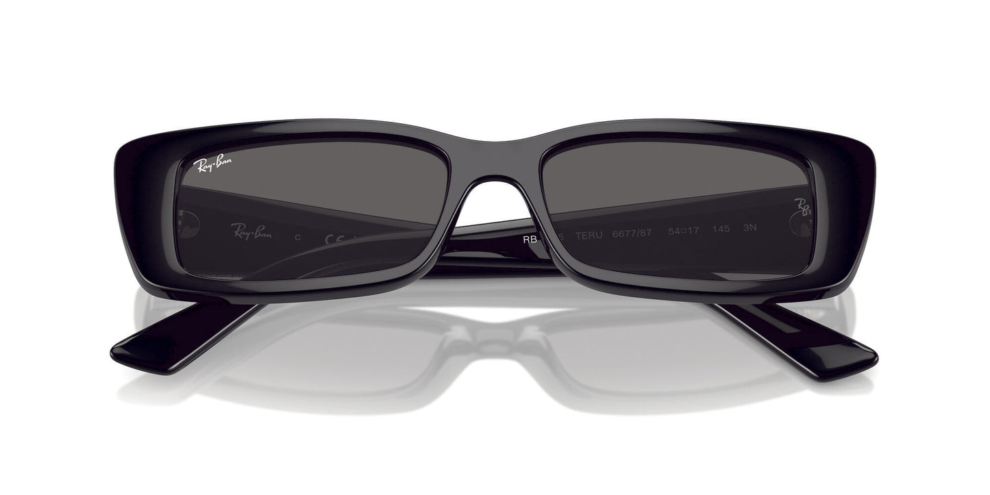 Ray-Ban Teru 4425 Black Dark Grey (4425 667787)