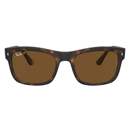 Ray-Ban 4428 Polarised Havana Brown RB4428 894/57 (56)