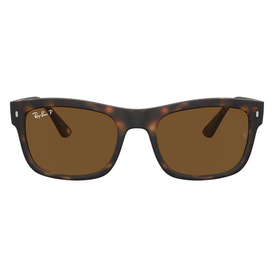 Ray-Ban 4428 Polarised Havana Brown RB4428 894/57 (56)