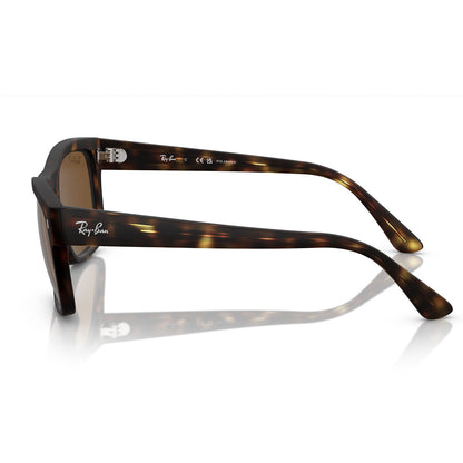 Ray-Ban 4428 Polarised Havana Brown RB4428 894/57 (56)