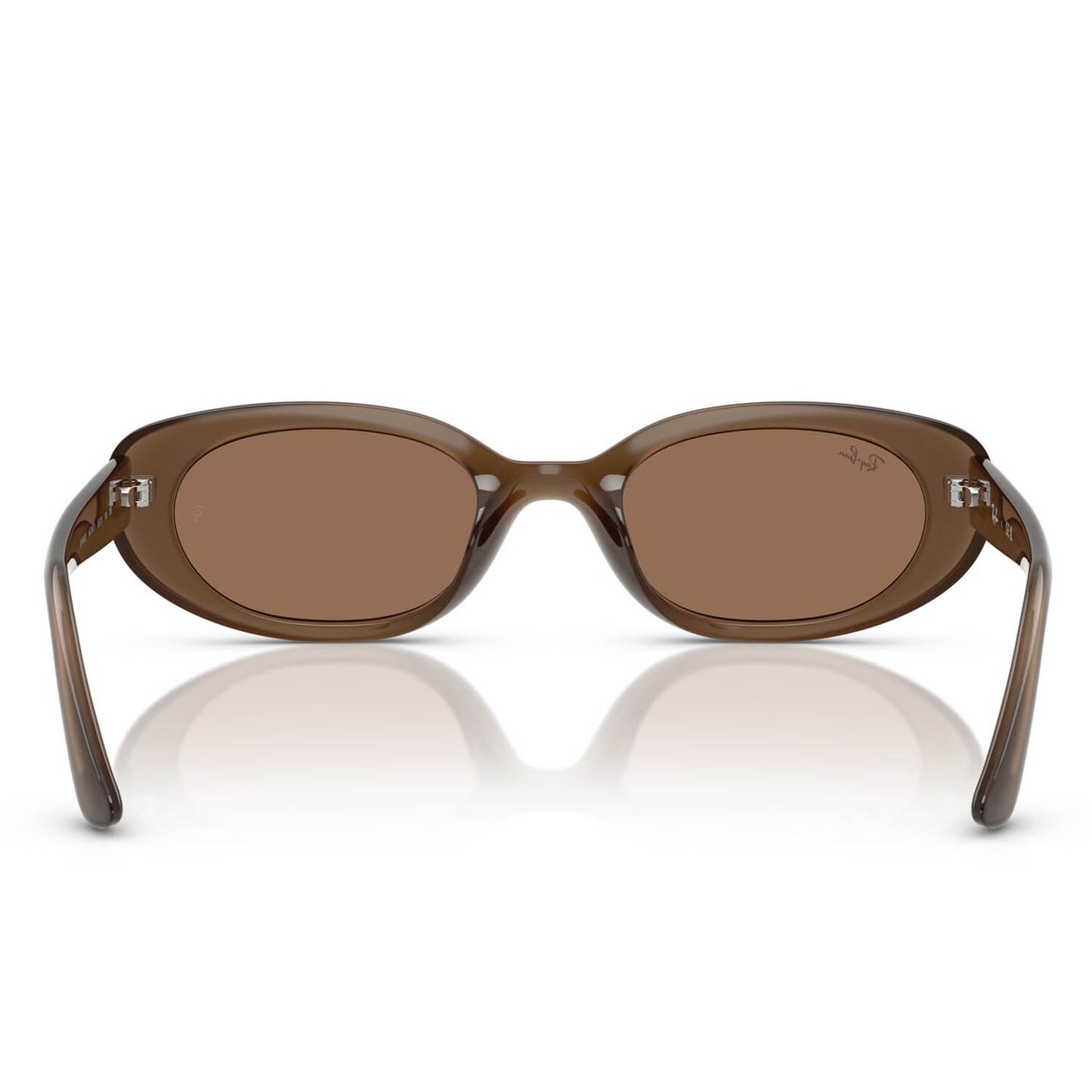 Ray-Ban 4441D Matte Opal Brown Dark Brown RB4441D 677973 (53)