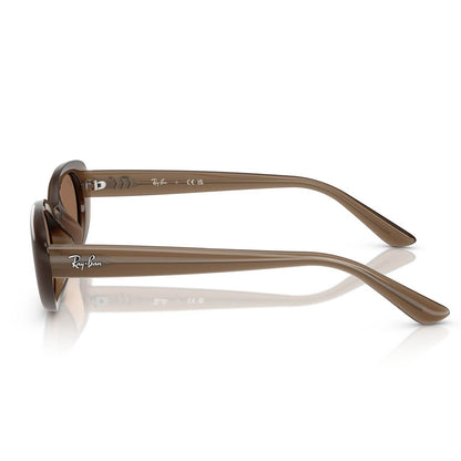Ray-Ban 4441D Matte Opal Brown Dark Brown RB4441D 677973 (53)