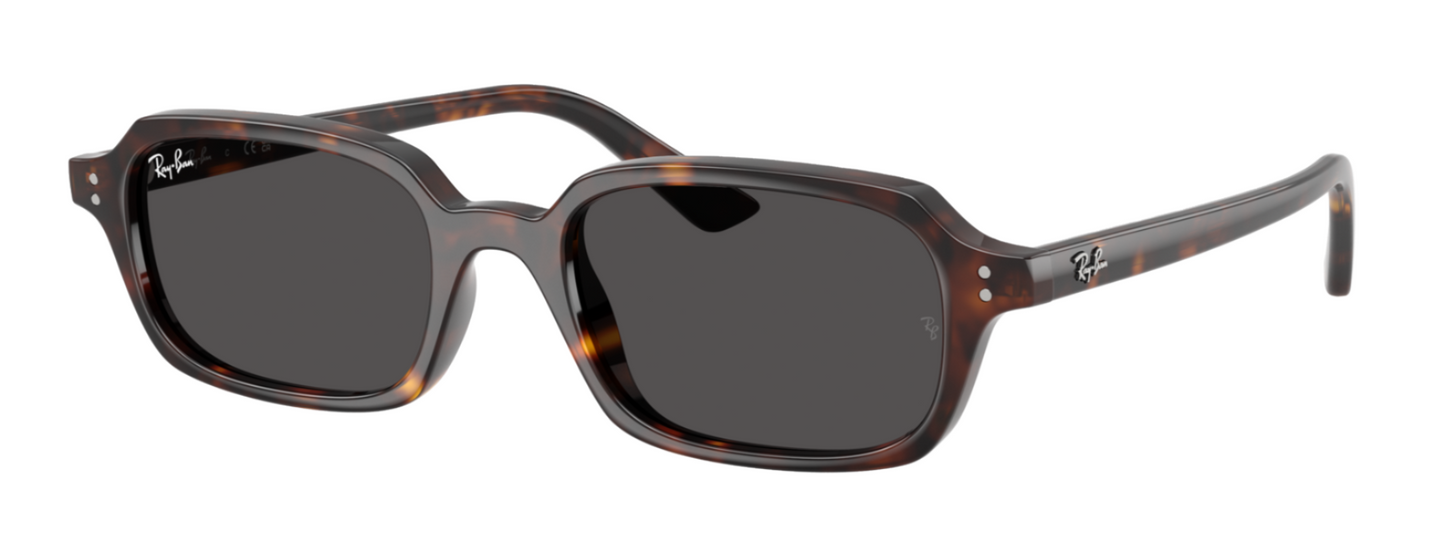 Ray-Ban 4455 Zuri Havana Dark Grey (4455 135987)