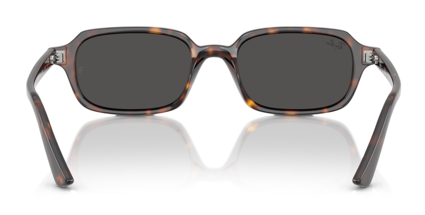 Ray-Ban 4455 Zuri Havana Dark Grey (4455 135987)