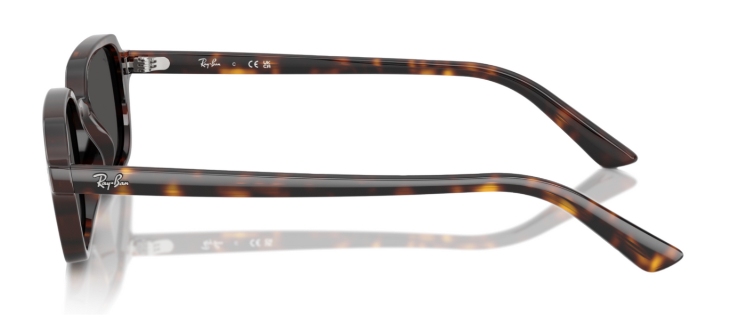 Ray-Ban 4455 Zuri Havana Dark Grey (4455 135987)