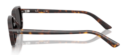 Ray-Ban 4455 Zuri Havana Dark Grey (4455 135987)