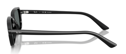 Ray-Ban 4455 Zuri Polarised Black Dark Grey (4455 667781)