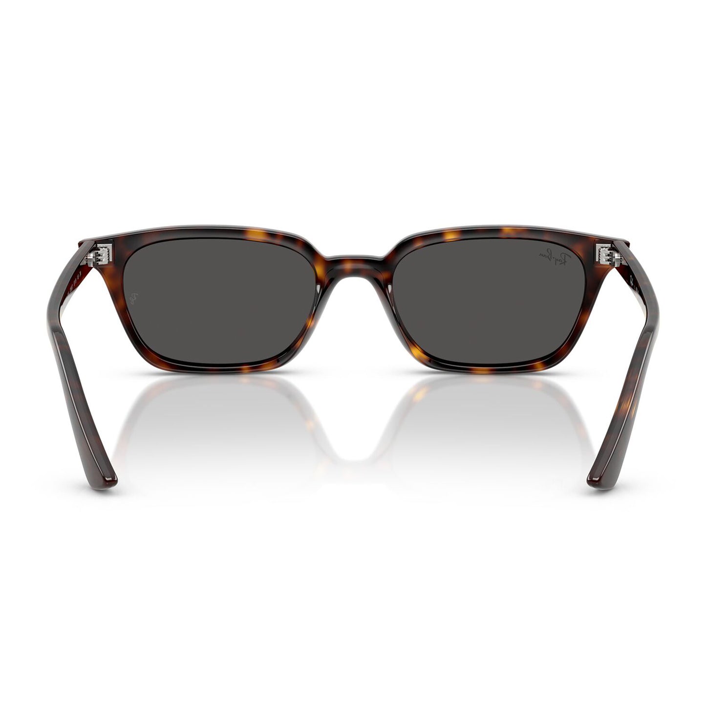 Ray-Ban 4456 Zaya Havana Dark Grey RB4456 135987 (53)