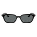 Ray-Ban 4456 Zaya Polarised Black Dark Grey RB4456 667781 (53)