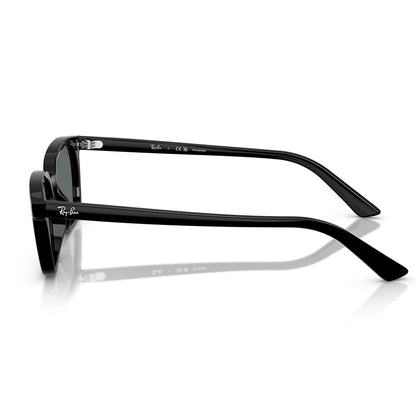 Ray-Ban 4456 Zaya Polarised Black Dark Grey RB4456 667781 (53)