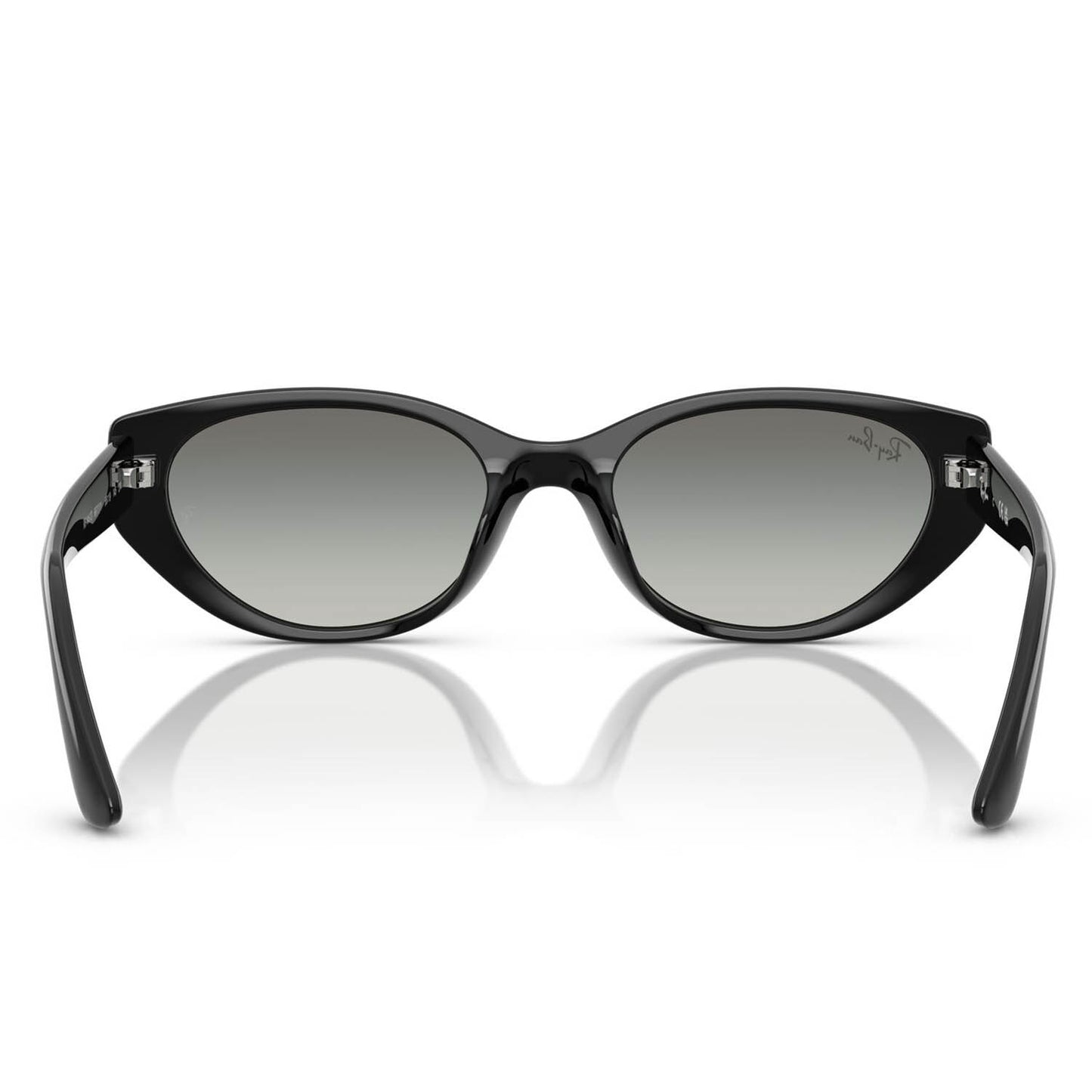 Ray-Ban 4457D Black Grey Gradient RB4457D 667711 (55)