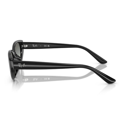Ray-Ban 4457D Black Grey Gradient RB4457D 667711 (55)