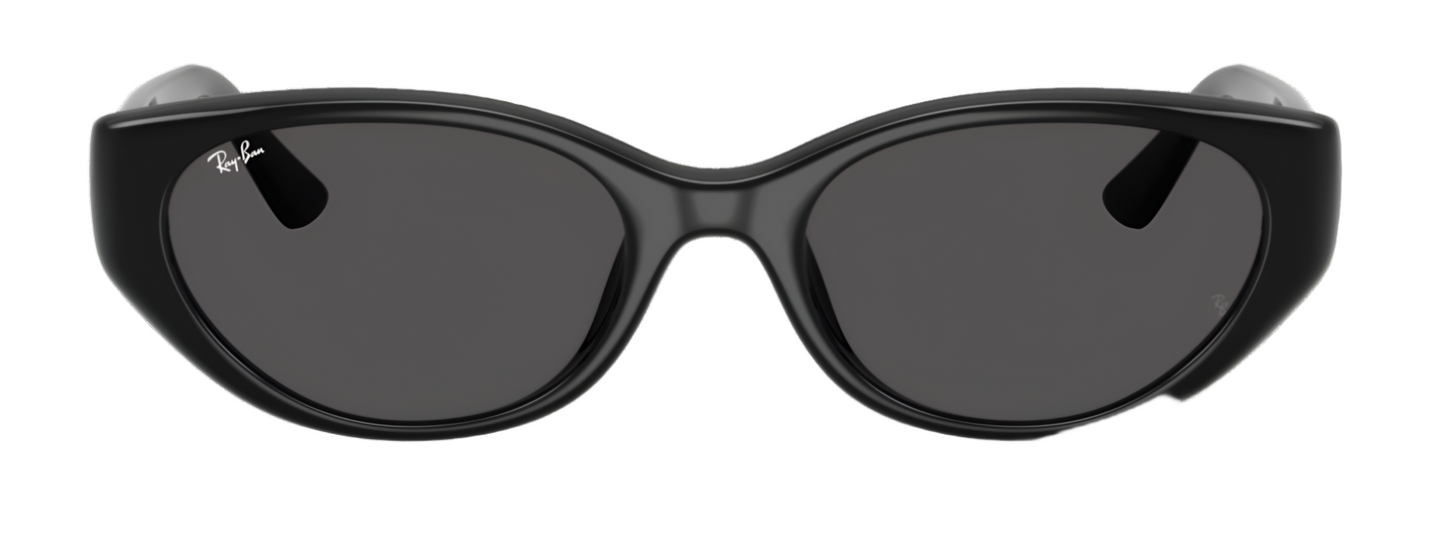 Ray-Ban 4457D Black Dark Grey (4457D 667787)