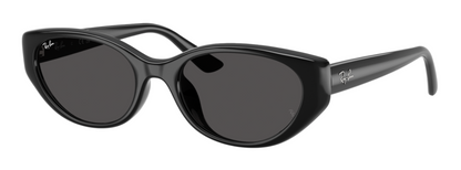 Ray-Ban 4457D Black Dark Grey (4457D 667787)