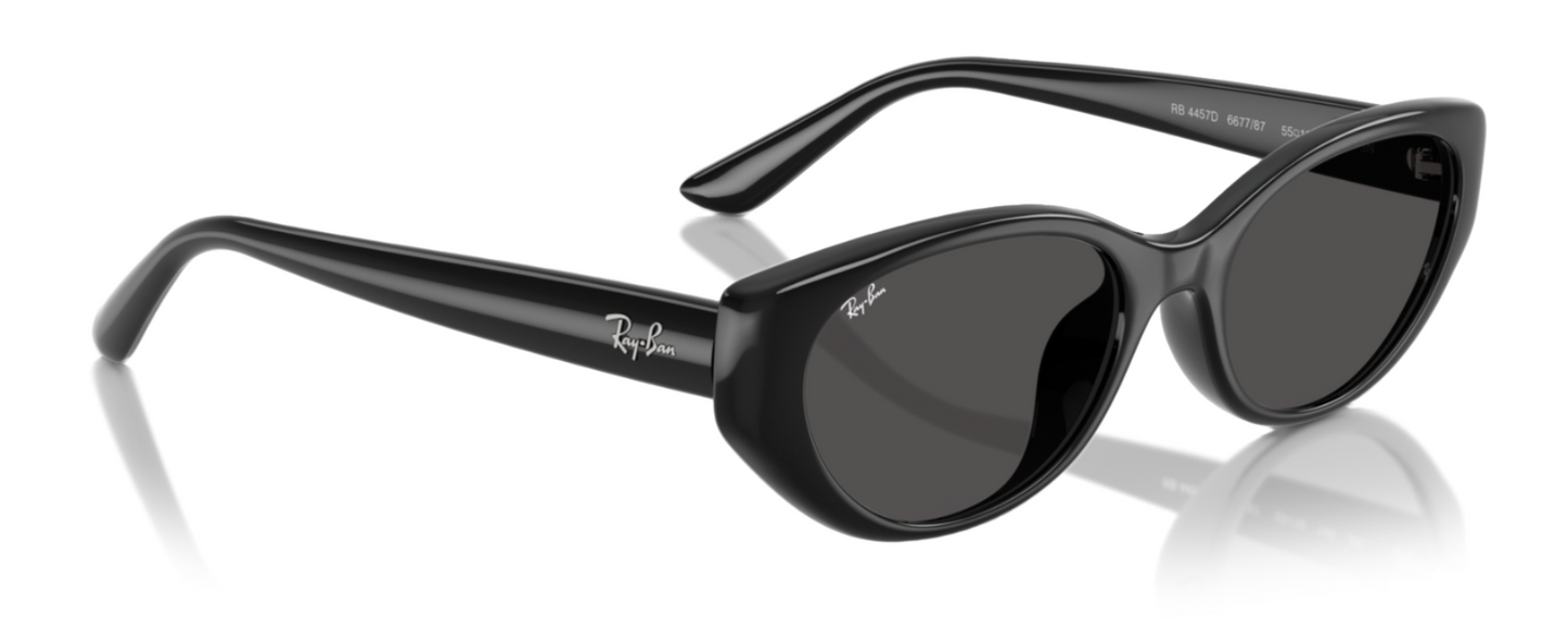 Ray-Ban 4457D Black Dark Grey (4457D 667787)