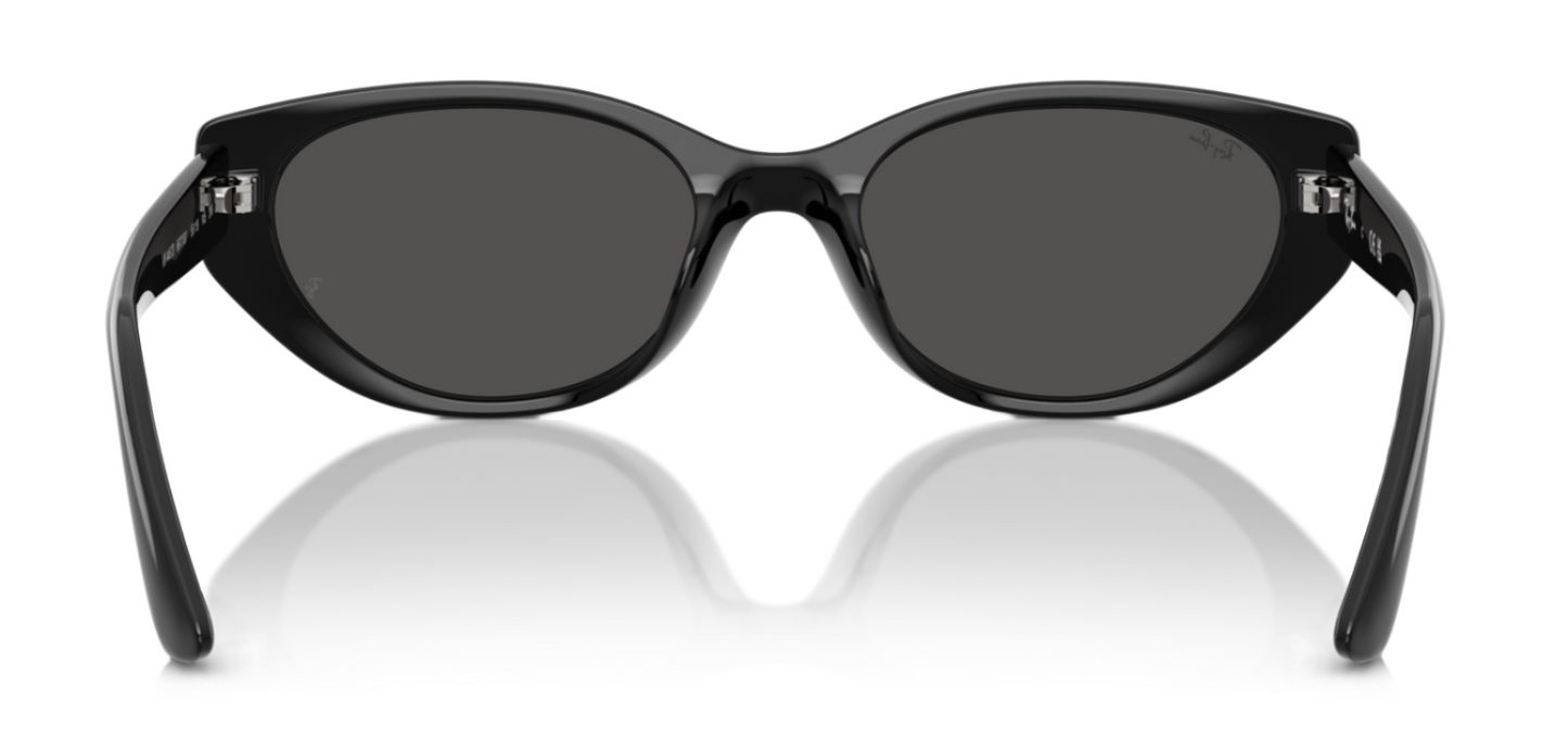 Ray-Ban 4457D Black Dark Grey (4457D 667787)