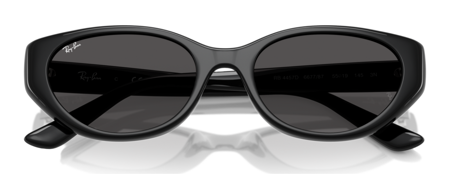 Ray-Ban 4457D Black Dark Grey (4457D 667787)