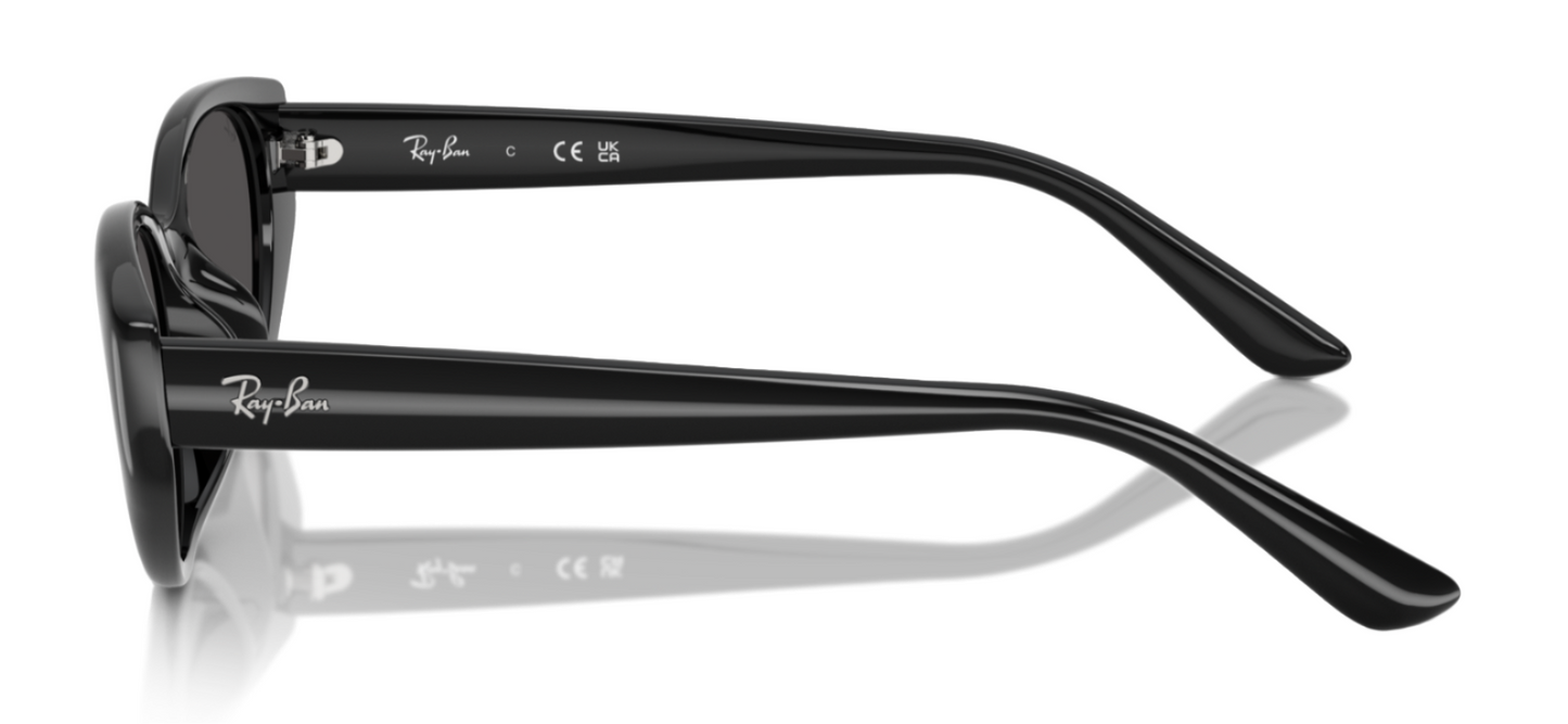 Ray-Ban 4457D Black Dark Grey (4457D 667787)