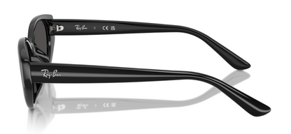 Ray-Ban 4457D Black Dark Grey (4457D 667787)