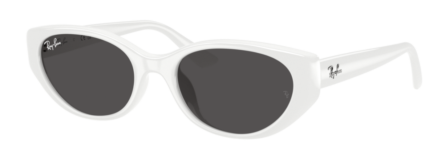Ray-Ban 4457D White Dark Grey (4457D 677287)