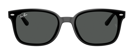 Ray-Ban 4461D Black Dark Grey RB4461D 601/87 (64)