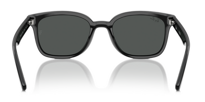 Ray-Ban 4461D Polished Black Dark Grey (4461D 601/87)