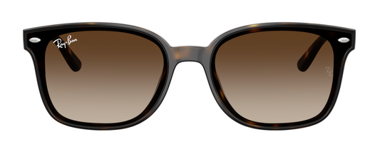 Ray-Ban 4461D Havana Brown Gradient RB4461D 710/13 (64)