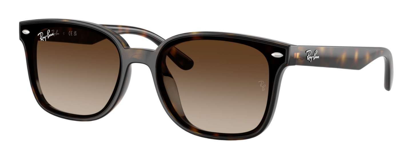 Ray-Ban 4461D Polished Havana Brown Gradient (4461D 710/13)
