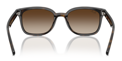 Ray-Ban 4461D Polished Havana Brown Gradient (4461D 710/13)