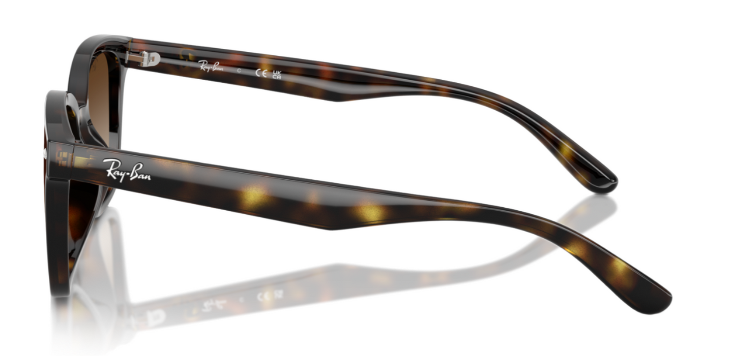 Ray-Ban 4461D Polished Havana Brown Gradient (4461D 710/13)