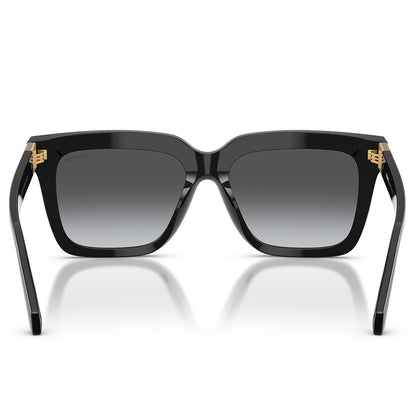 Versace 4498 Polarised Black Dark Grey Gradient VE4498 GB1/T3 (55)