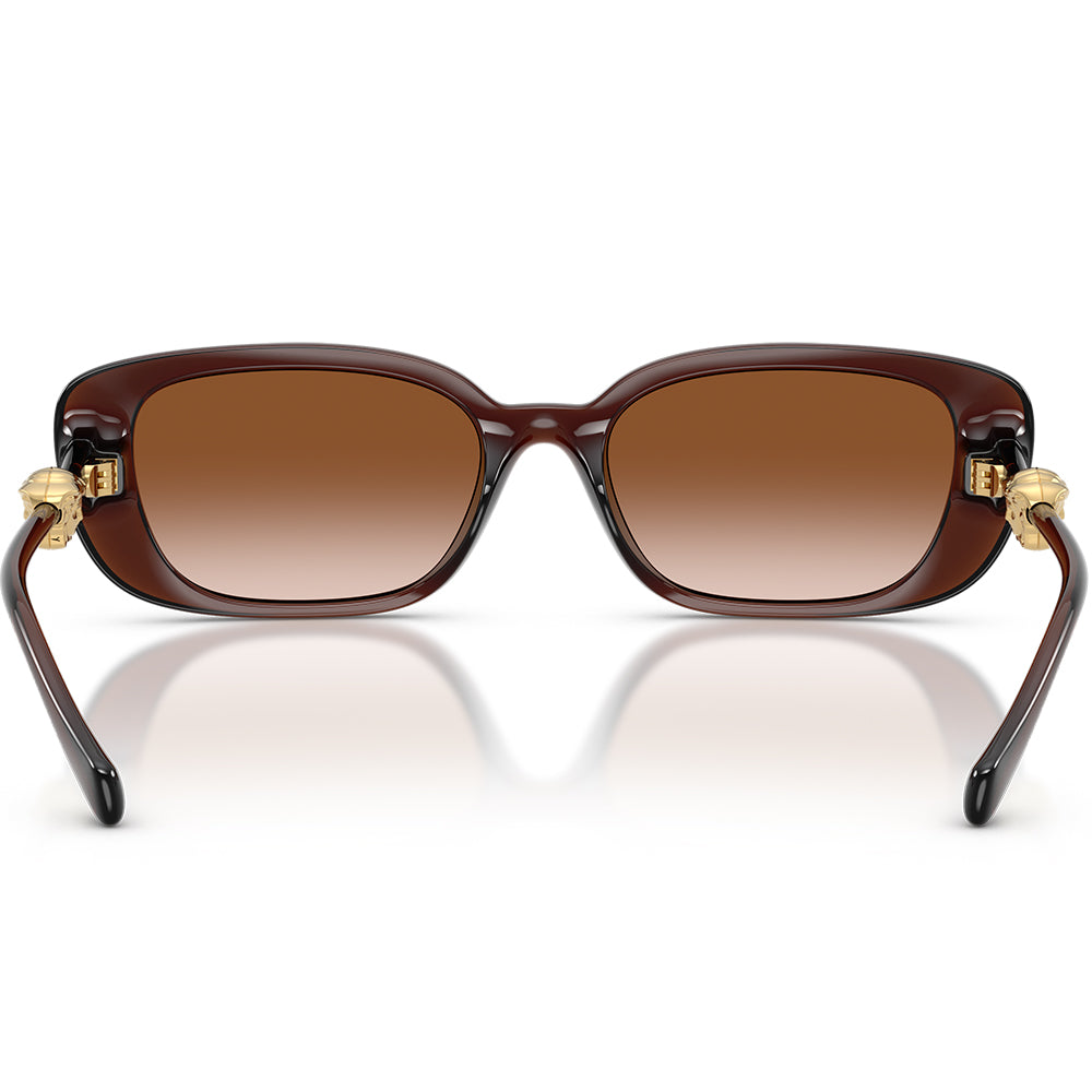 Versace 4504D Transparent Brown Brown Gradient VE4504D 533213 (56)