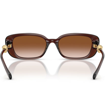 Versace 4504D Transparent Brown Brown Gradient VE4504D 533213 (56)