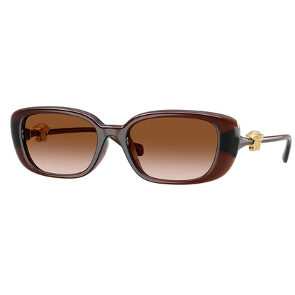 Versace 4504D Transparent Brown Brown Gradient VE4504D 533213 (56)