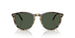 Vogue 5599S Polarised Yellow Havana Dark Green (5599S 31869A)