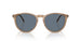 Vogue 5599S Polarised Transparent Brown Blue (5599S 31894Y)