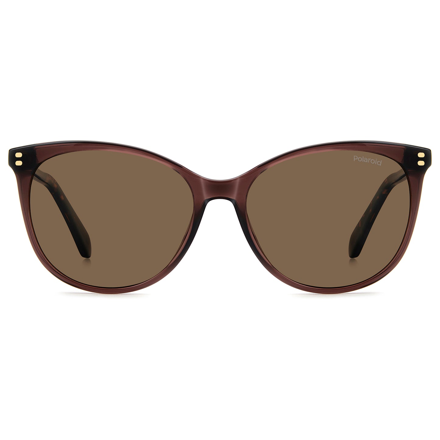 Polaroid 4200/S/X Polarised Brown Brown PLD 4200/S/X 09Q SP (56)