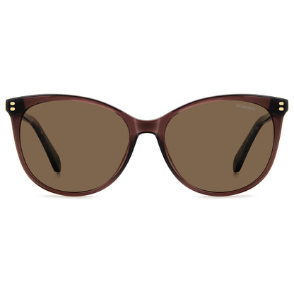 Polaroid 4200/S/X Polarised Brown Brown PLD 4200/S/X 09Q SP (56)