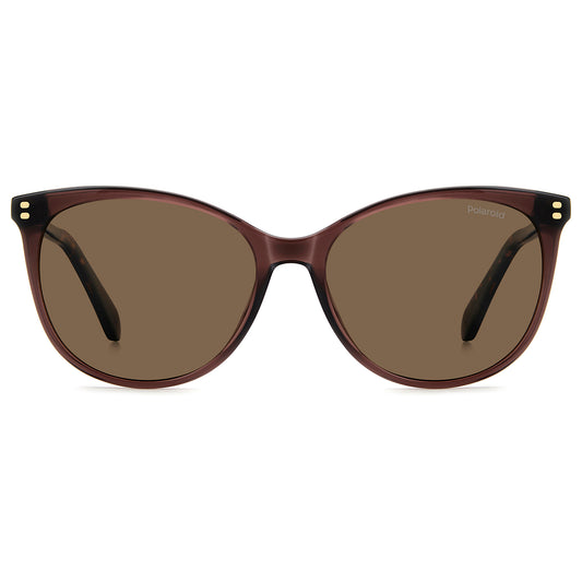 Polaroid 4200/S/X Polarised Brown Brown PLD 4200/S/X 09Q SP (56)