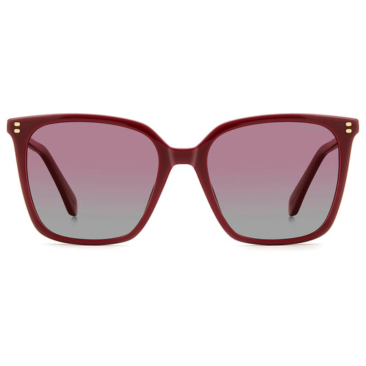 Polaroid 4201/S/X Polarised Red Red Gradient PLD 4201/S/X C9A GC (55)