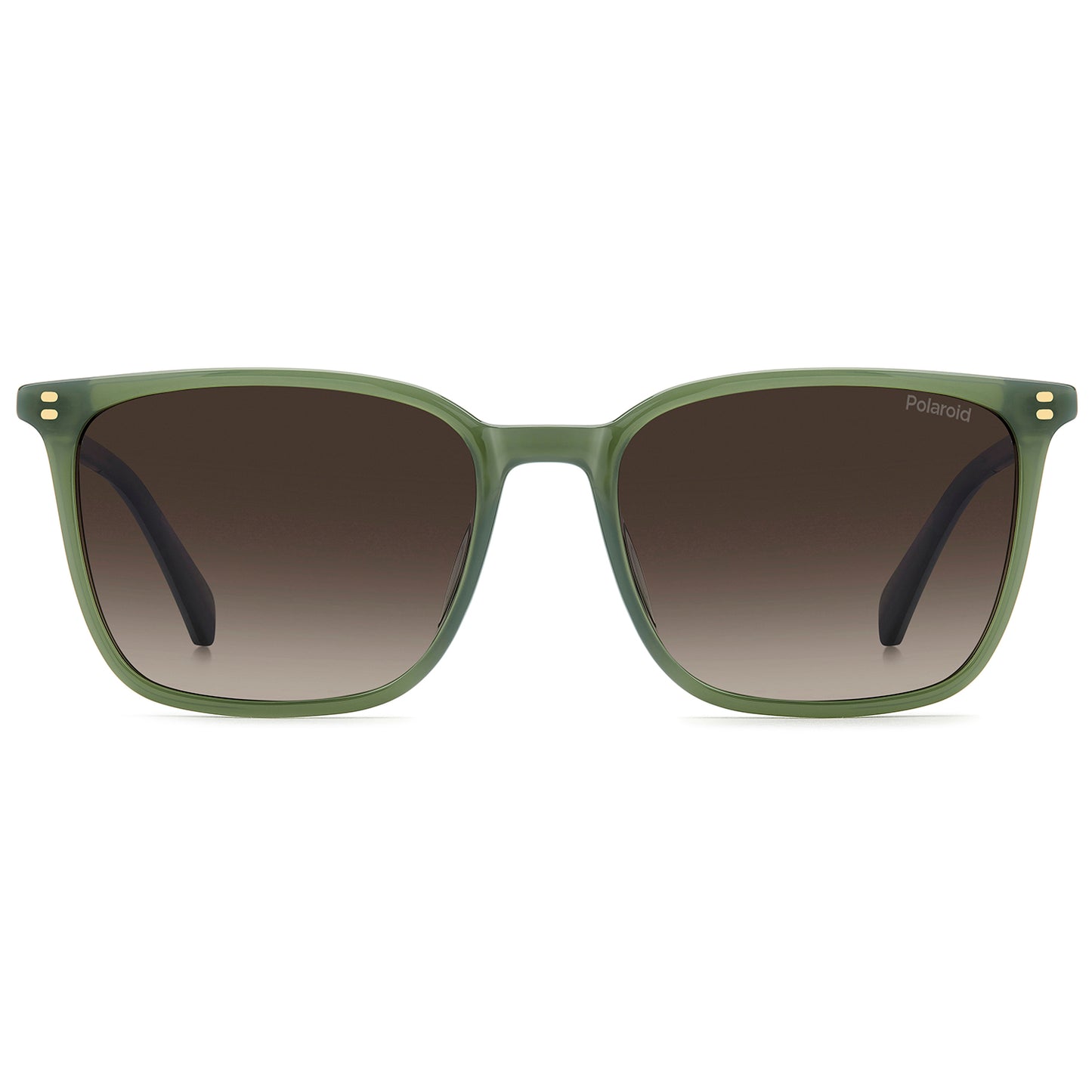 Polaroid 4207/S/X Polarised Green Brown Gradient PLD 4207/S/X 1ED LA (55)
