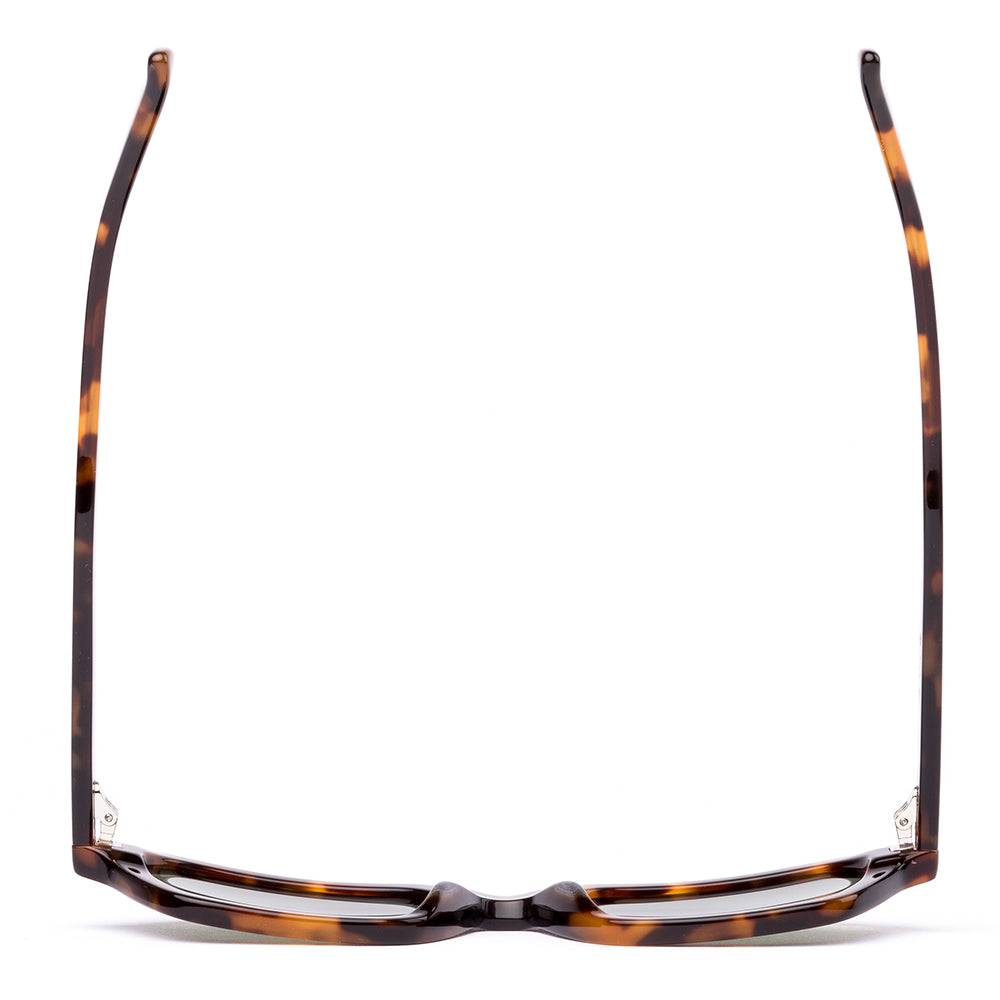 Otis Metric Polarised Eco Sepia Tort Grey 206-2601P (53)