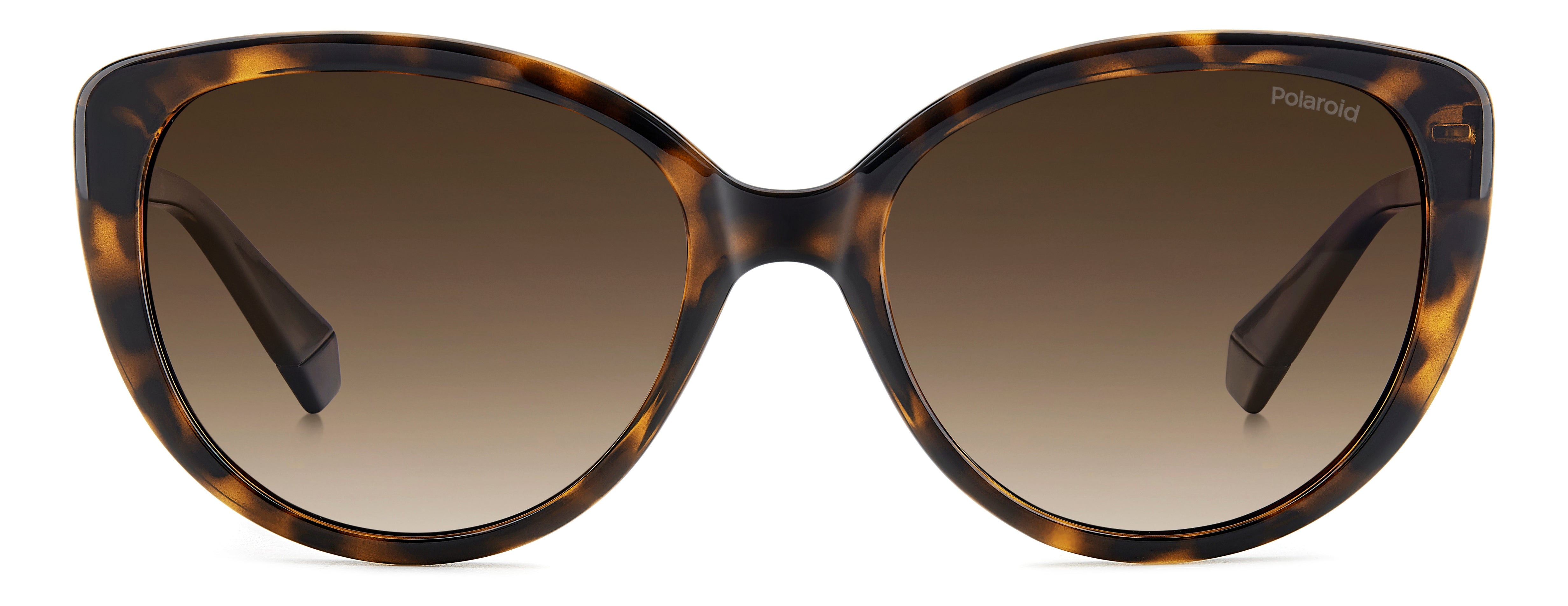 Polaroid 4176/S/X Polarised Havana Brown Gradient (4176/S/X 086 LA ...