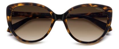 Polaroid 4176/S/X Polarised Havana Brown Gradient (4176/S/X 086 LA)