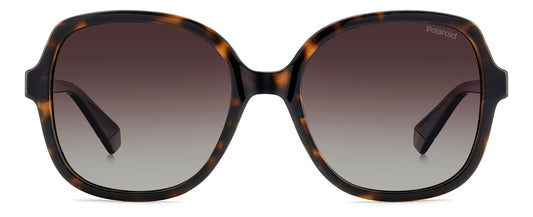 Polaroid 4177/S/X Polarised Havana Brown Gradient (4177/S/X 086 LA)