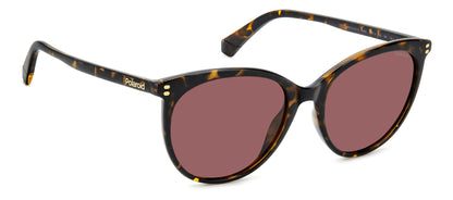 Polaroid 6231/S Polarised Havana Violet (6231/S 086 KL)