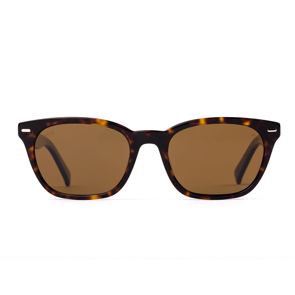 Otis Chorus Polarised Eco Havana Ray Brown 210-2605P (53)