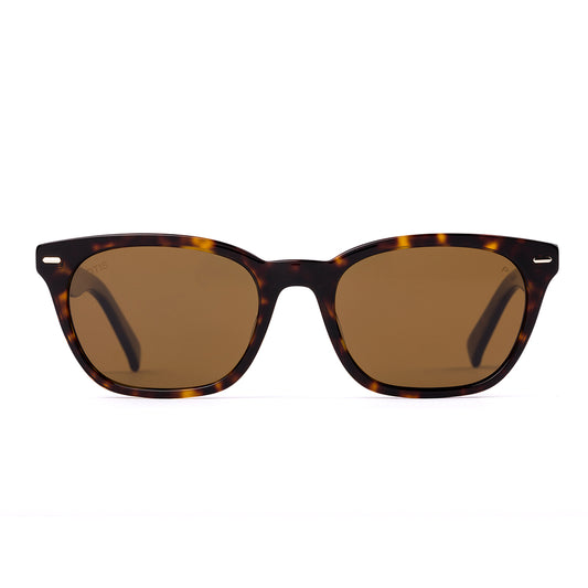 Otis Chorus Polarised Eco Havana Ray Brown 210-2605P (53)