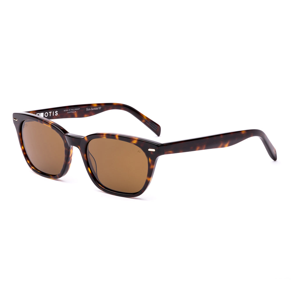Otis Chorus Polarised Eco Havana Ray Brown 210-2605P (53)