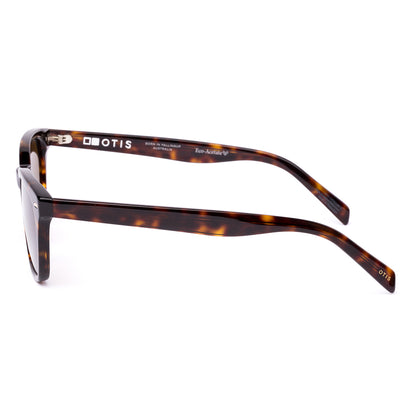 Otis Chorus Polarised Eco Havana Ray Brown 210-2605P (53)